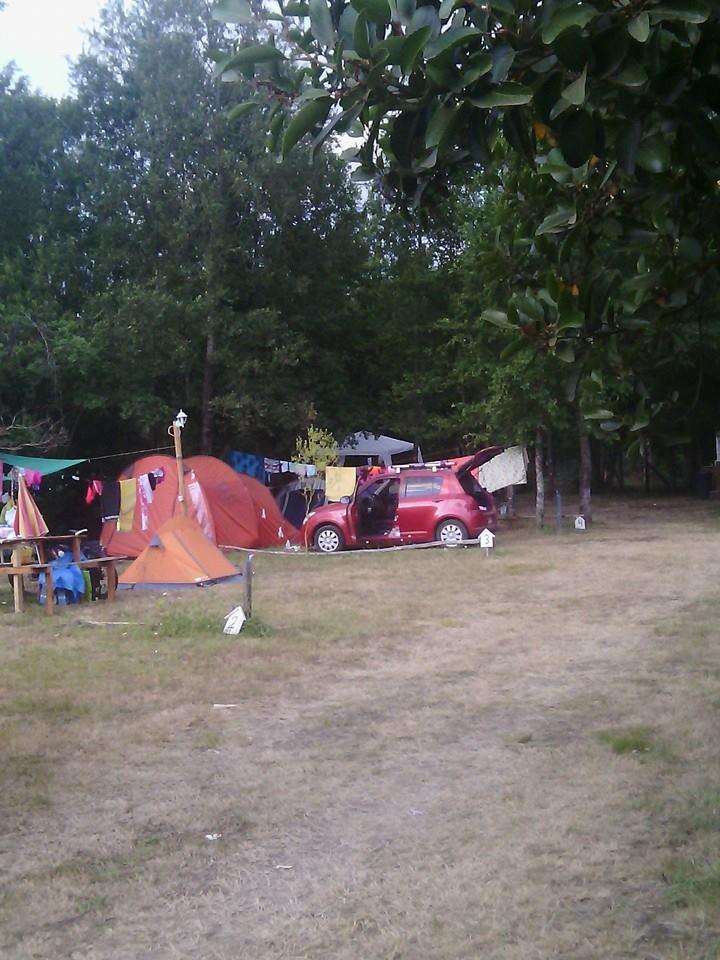 Fotografía 6 de Camping Wuechualmay en Panguipulli, Los Rios