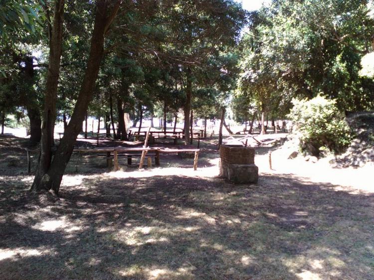 Fotografía 2 de Ecocamping y Cabañas Áisoleufu en Panguipulli, Los Rios