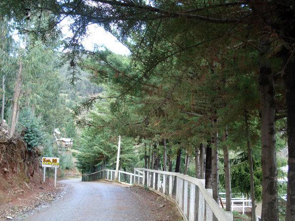 Fotografía 2 de Camping Las Terrazas Lago Lleu Lleu en Contulmo, Bio Bio