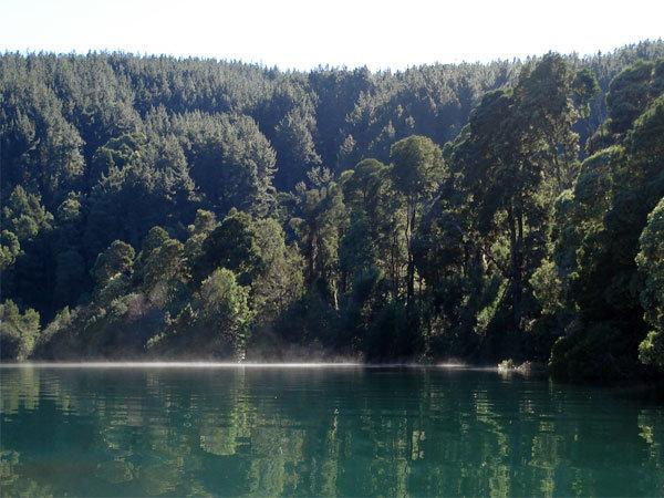 Fotografía 6 de Camping Las Terrazas Lago Lleu Lleu en Contulmo, Bio Bio