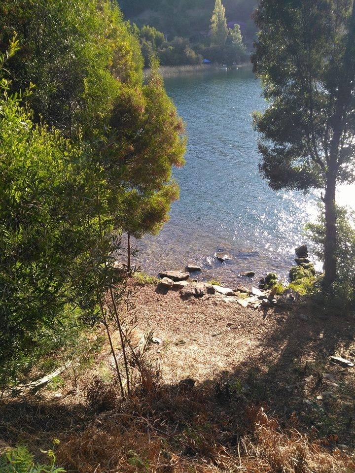 Fotografía 10 de Camping Las Terrazas Lago Lleu Lleu en Contulmo, Bio Bio