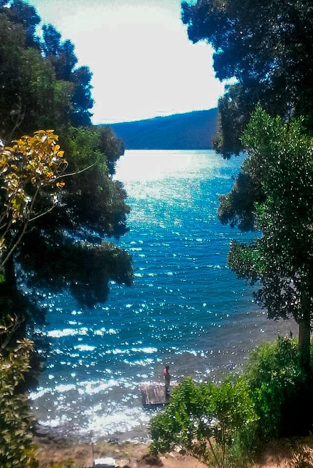 Fotografía 8 de Camping Las Terrazas Lago Lleu Lleu en Contulmo, Bio Bio