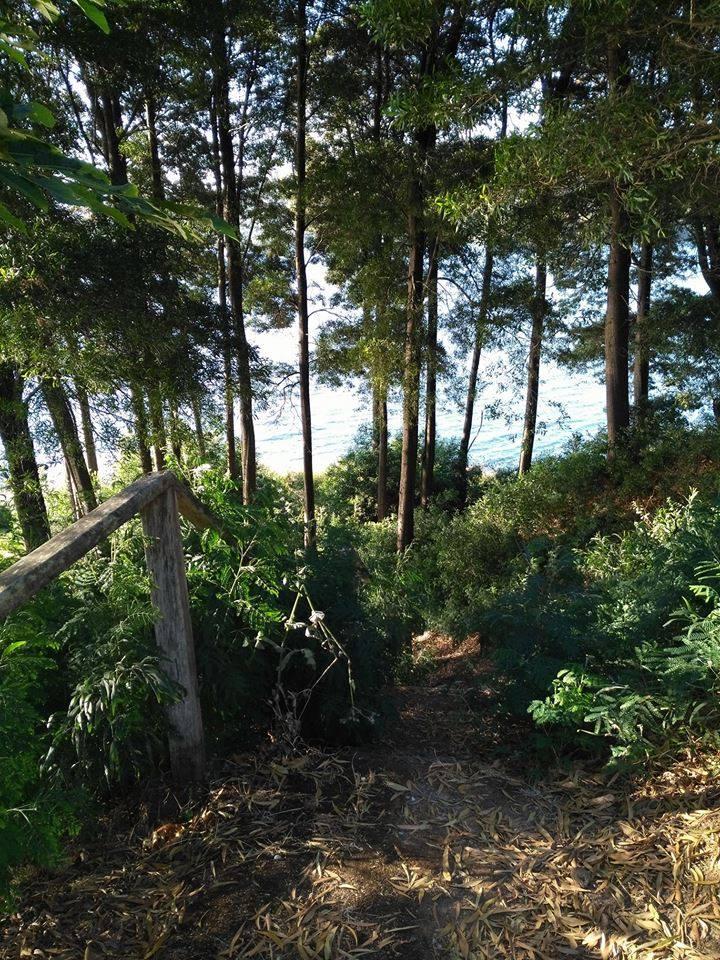 Fotografía 9 de Camping Las Terrazas Lago Lleu Lleu en Contulmo, Bio Bio