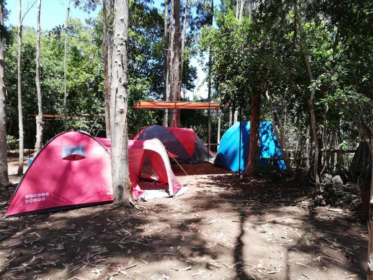 Fotografía 10 de Camping y Piscinas El Aura en Tome, Bio Bio
