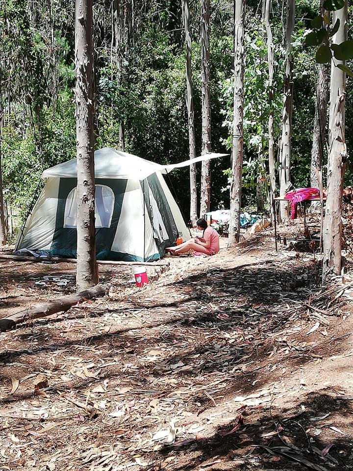 Fotografía 12 de Camping y Piscinas El Aura en Tome, Bio Bio