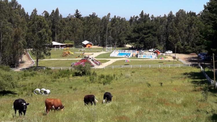 Fotografía 18 de Camping y Piscinas El Aura en Tome, Bio Bio