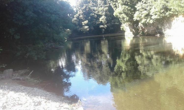 Fotografía 2 de Camping El Buen Corazón en Lanco, Los Rios