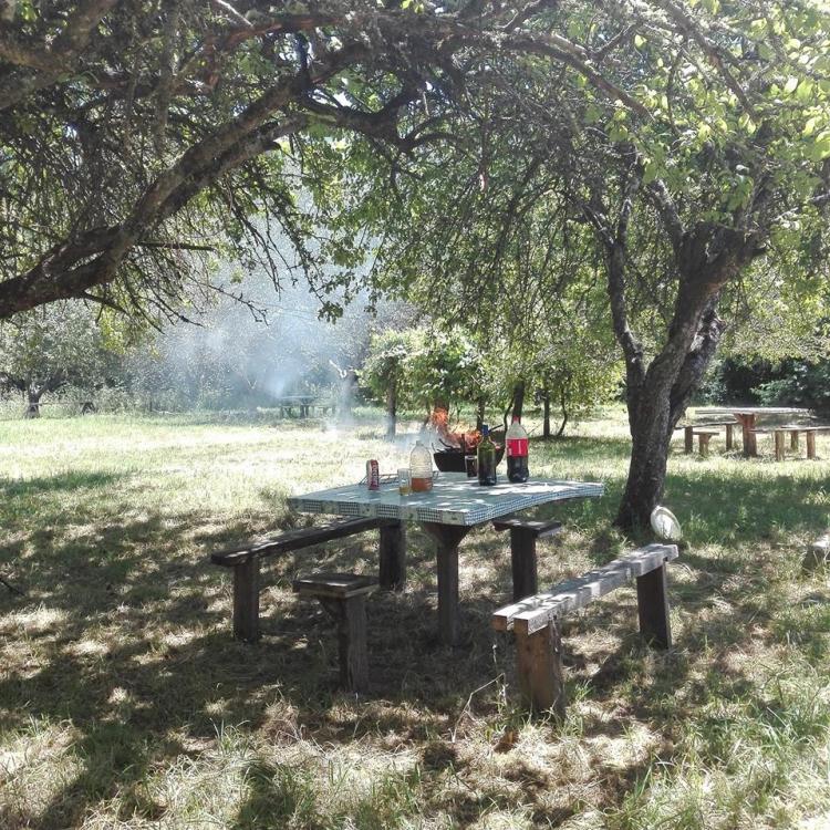 Fotografía 6 de Camping El Buen Corazón en Lanco, Los Rios