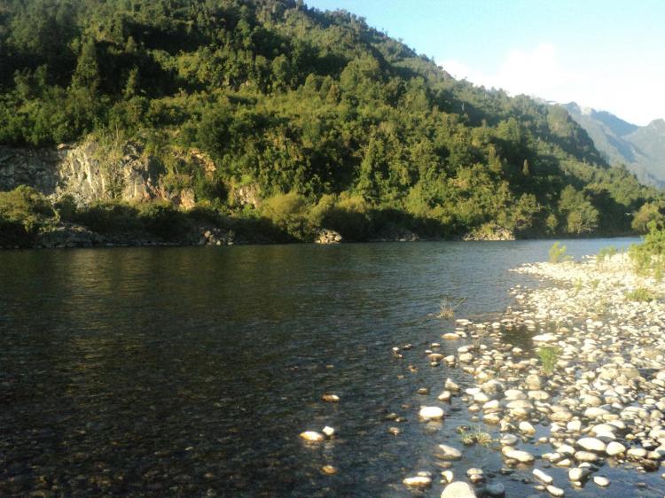 Fotografía 8 de Camping Calcurrupe en Lago Ranco, Los Rios