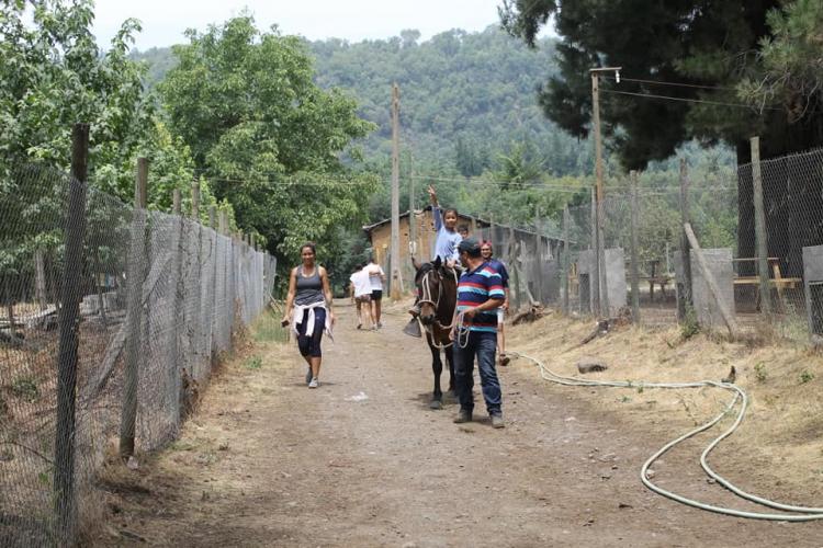Fotografía 8 de Camping Los Castaños en Molina, Maule