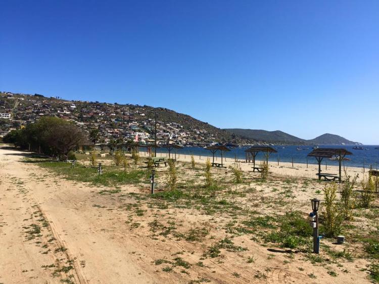 Fotografía 12 de Camping Guanaqueros en Coquimbo, Coquimbo