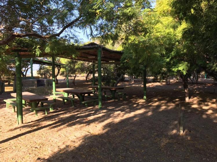 Fotografía 13 de Camping Guanaqueros en Coquimbo, Coquimbo
