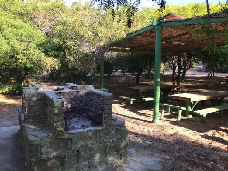 Fotografía 16 de Camping Guanaqueros en Coquimbo, Coquimbo