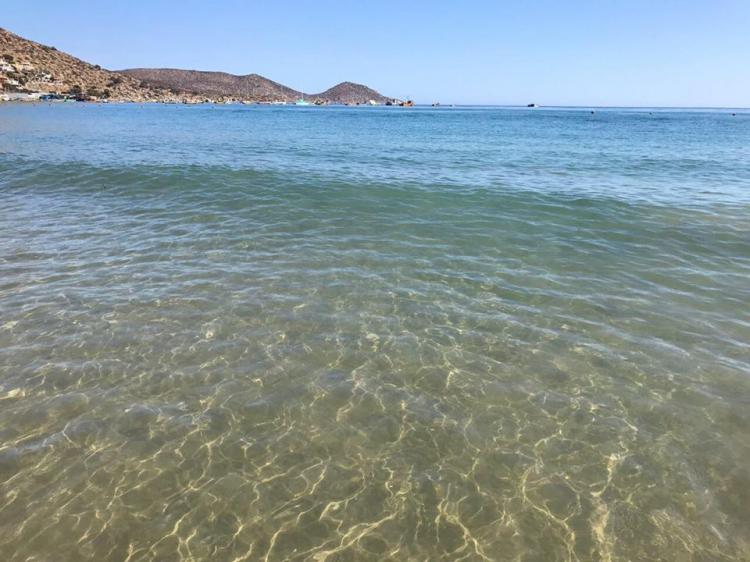 Fotografía 18 de Camping Guanaqueros en Coquimbo, Coquimbo