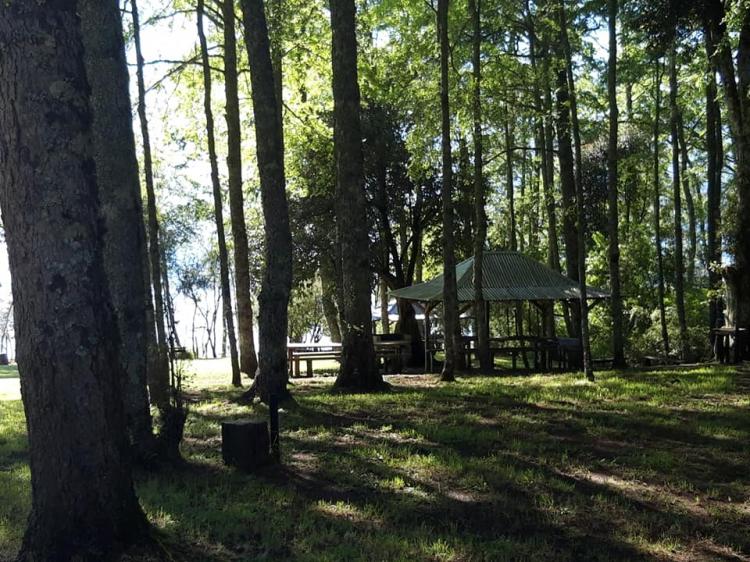 Fotografía 2 de Camping y Cabañas Malchehue en Panguipulli, Los Rios