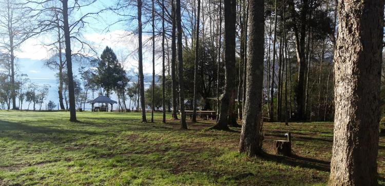 Fotografía 10 de Camping y Cabañas Malchehue en Panguipulli, Los Rios