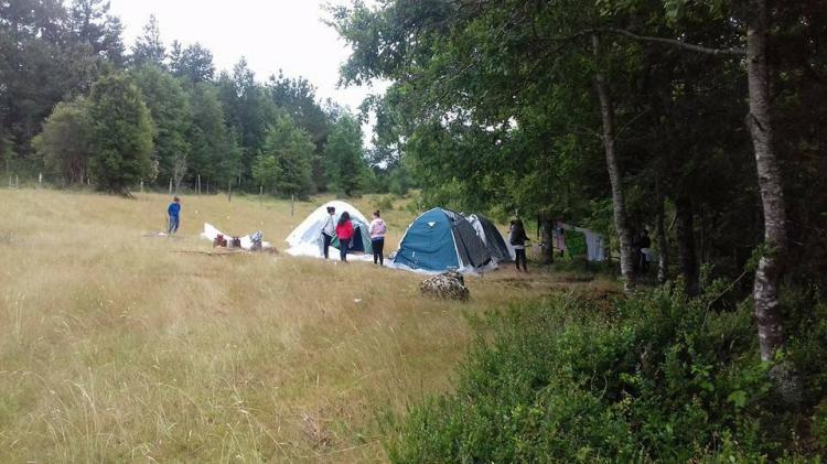 Fotografía 3 de Agro-Camping, Cabañas y Domo Melita en Panguipulli, Los Rios