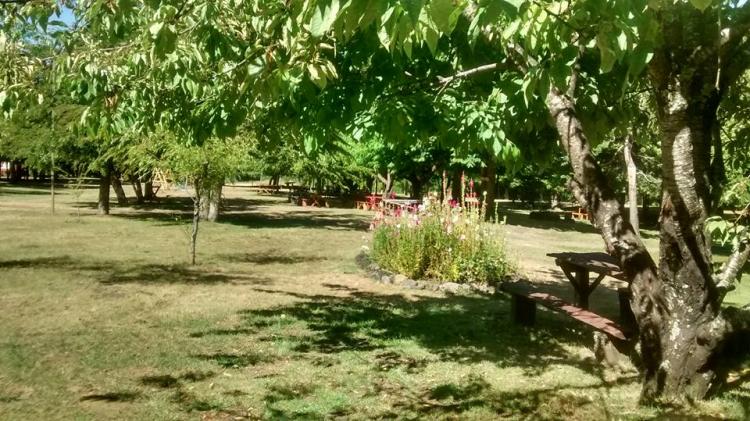 Fotografía 5 de Agro-Camping, Cabañas y Domo Melita en Panguipulli, Los Rios
