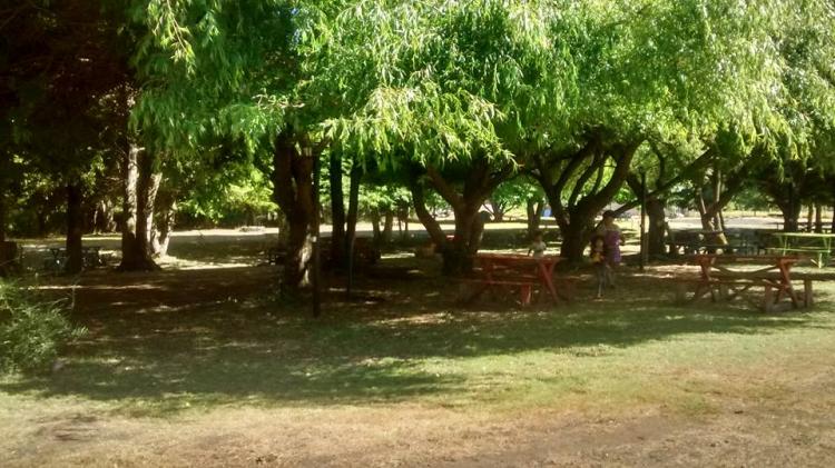 Fotografía 6 de Agro-Camping, Cabañas y Domo Melita en Panguipulli, Los Rios