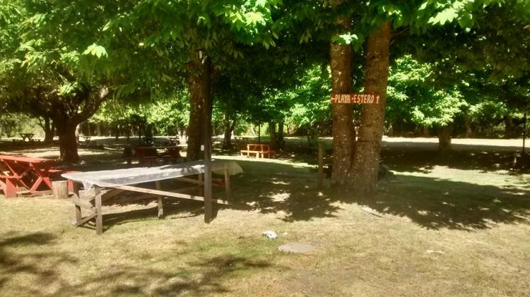 Fotografía 7 de Agro-Camping, Cabañas y Domo Melita en Panguipulli, Los Rios