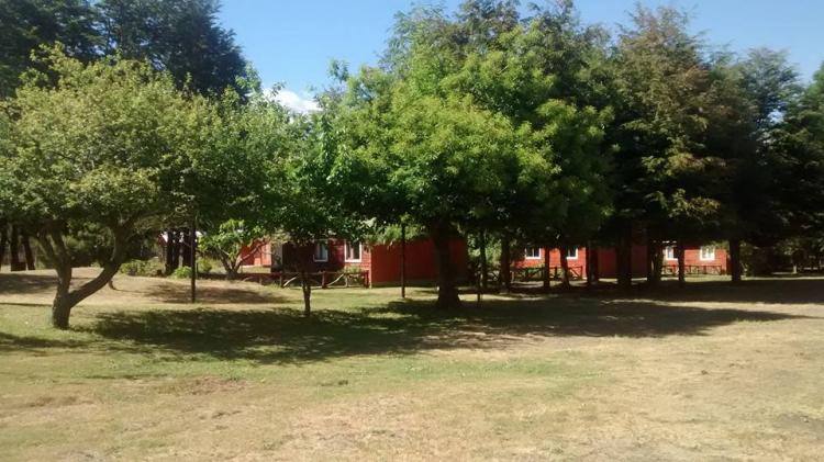 Fotografía 9 de Agro-Camping, Cabañas y Domo Melita en Panguipulli, Los Rios