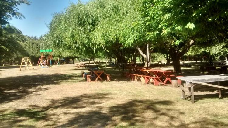 Fotografía 11 de Agro-Camping, Cabañas y Domo Melita en Panguipulli, Los Rios