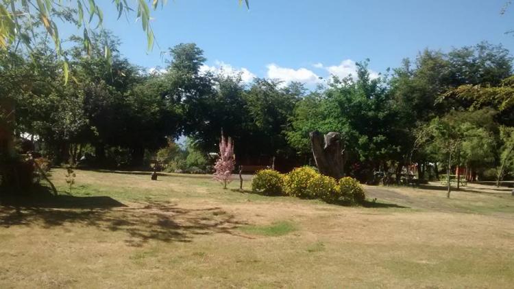 Fotografía 10 de Agro-Camping, Cabañas y Domo Melita en Panguipulli, Los Rios