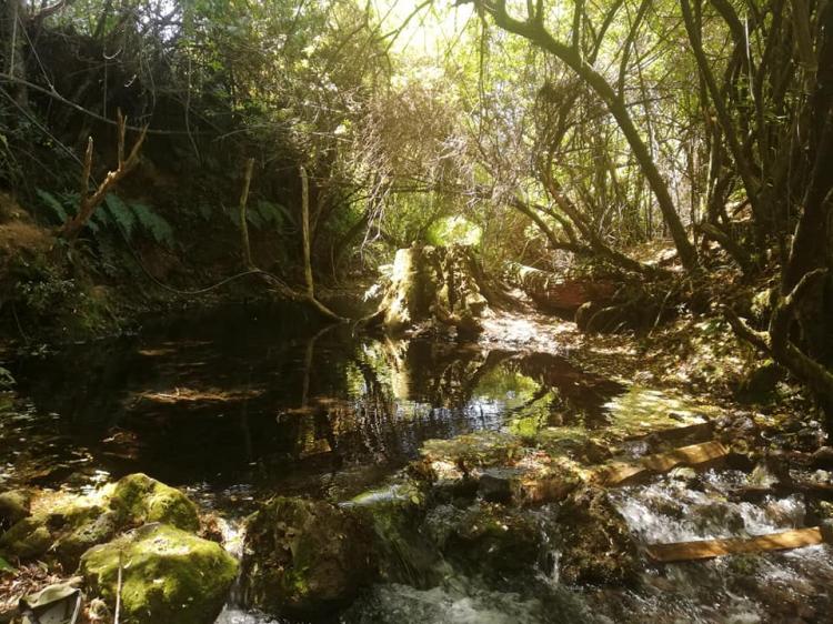 Fotografía 15 de Agro-Camping, Cabañas y Domo Melita en Panguipulli, Los Rios