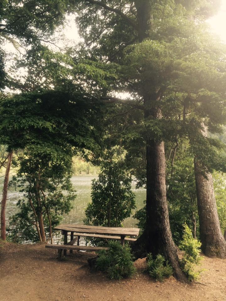 Fotografía 10 de Camping Rapa Nui Huerquehue en Pucon, Araucania
