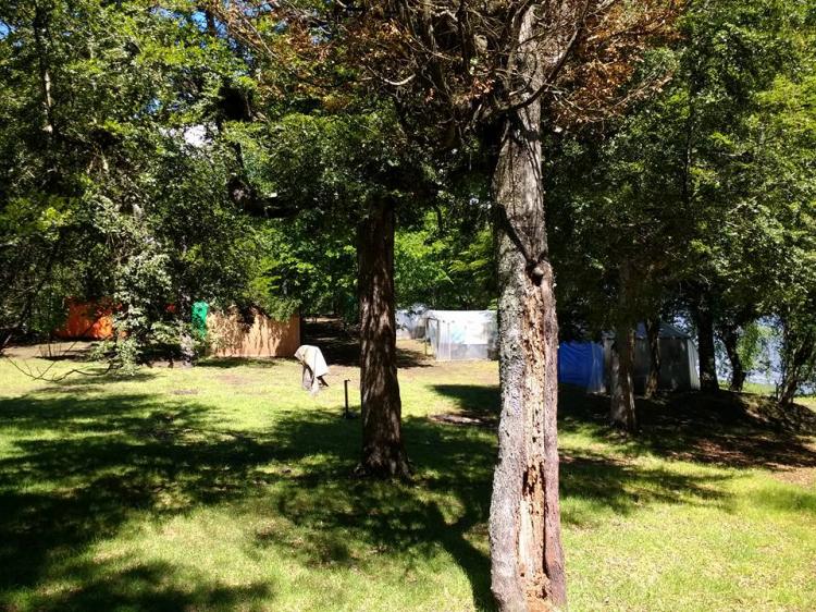 Fotografía 6 de Camping Lif Mapu en Panguipulli, Los Rios