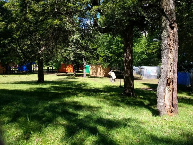 Fotografía 7 de Camping Lif Mapu en Panguipulli, Los Rios