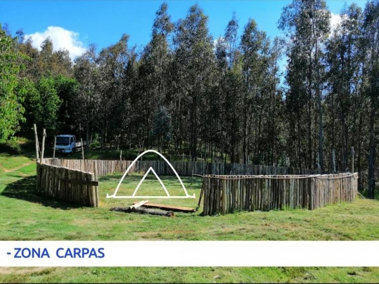 Fotografía 2 de Camping Los Chilcos en Santa Juana, Bio Bio