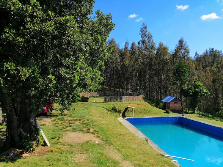 Fotografía 9 de Camping Los Chilcos en Santa Juana, Bio Bio
