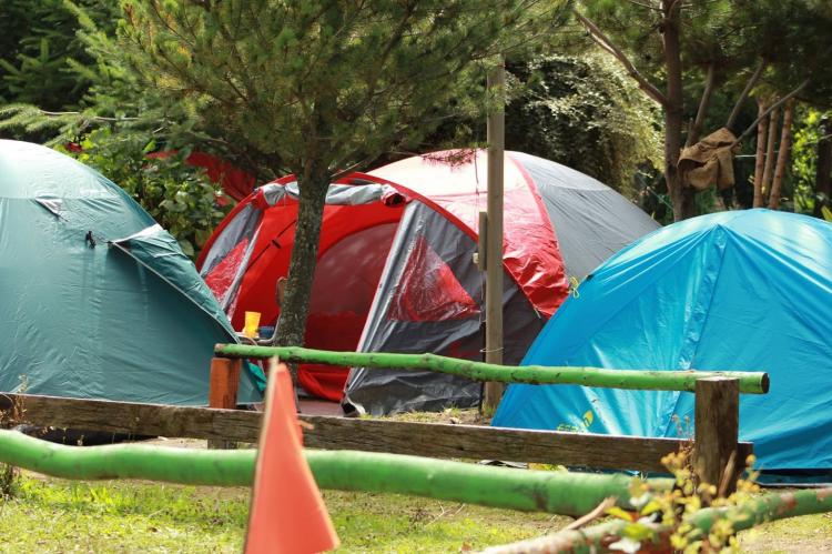 Fotografía 3 de Camping El Gringo en Puerto Varas, Los Lagos