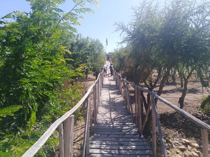 Fotografía 11 de Camping Senderos Del Molle en Ovalle, Coquimbo