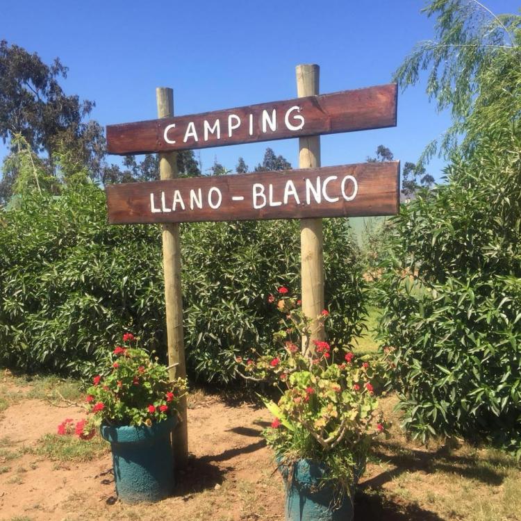 Fotografía 5 de Camping LLano Blanco en Coquimbo, Coquimbo
