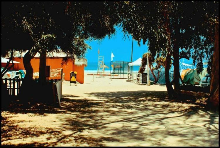 Fotografía 2 de Camping Tongoy en Coquimbo, Coquimbo