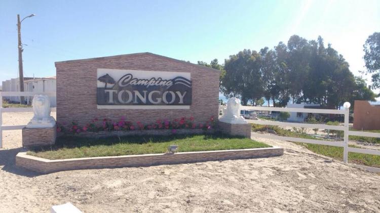 Fotografía 7 de Camping Tongoy en Coquimbo, Coquimbo