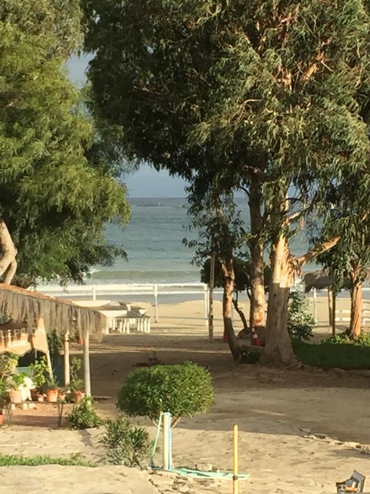 Fotografía 9 de Camping Tongoy en Coquimbo, Coquimbo