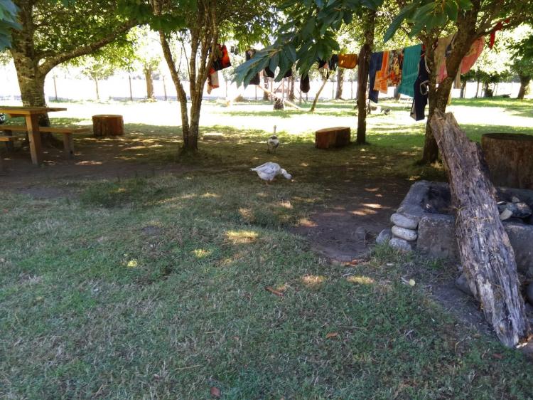 Fotografía 9 de Agrocamping Quilmio en Panguipulli, Los Rios