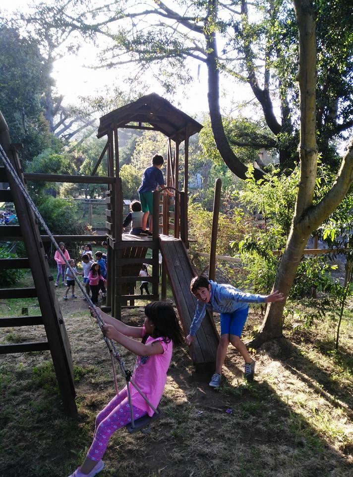 Fotografía 8 de Camping y Cabañas La Terraza en Concepcion, Bio Bio