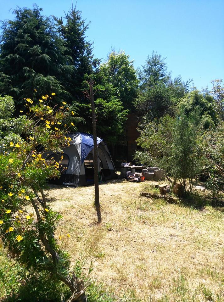 Fotografía 11 de Camping y Cabañas La Terraza en Concepcion, Bio Bio