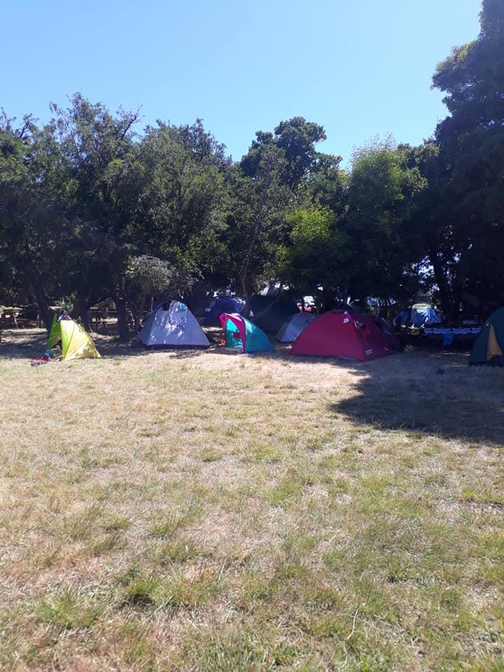 Fotografía 4 de Camping Tren Trenko en Cañete, Bio Bio