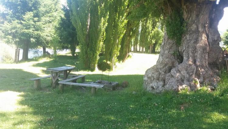 Fotografía 3 de Camping Lolen en Lonquimay, Araucania