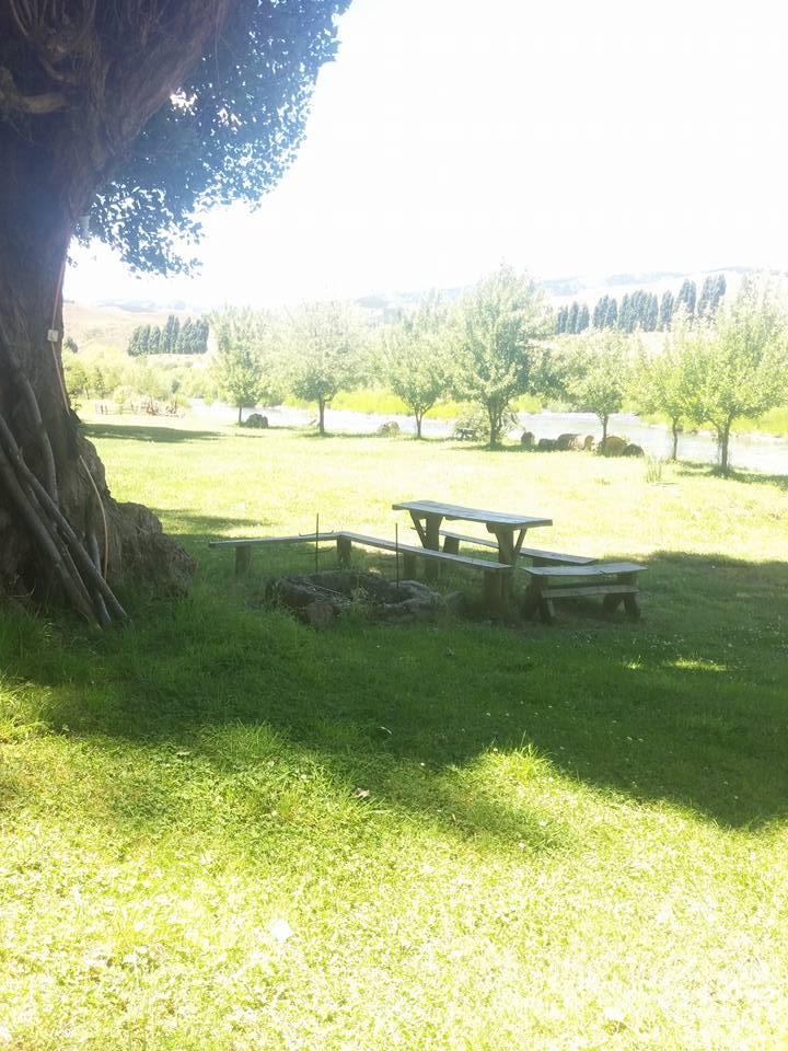 Fotografía 5 de Camping Lolen en Lonquimay, Araucania