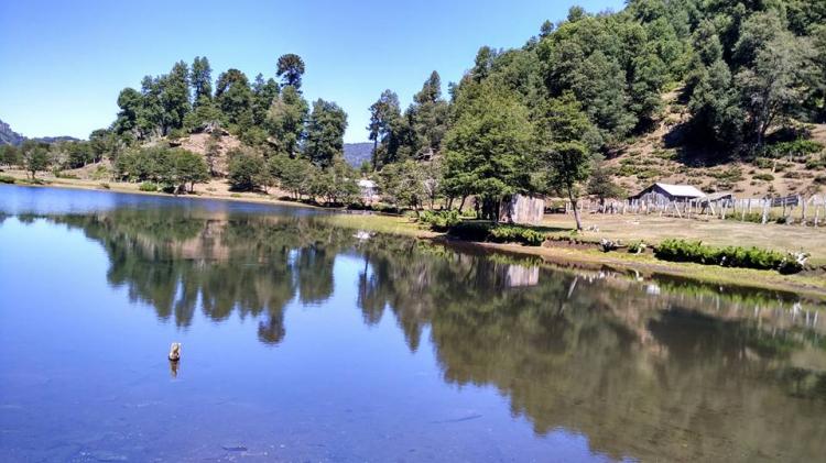 Camping y Cabaña Laguna Tres Pinos en Lonquimay, Araucania