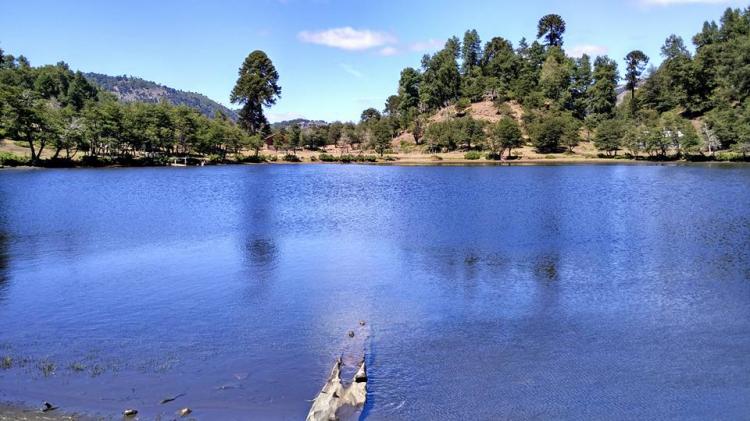 Fotografía 2 de Camping y Cabaña Laguna Tres Pinos en Lonquimay, Araucania