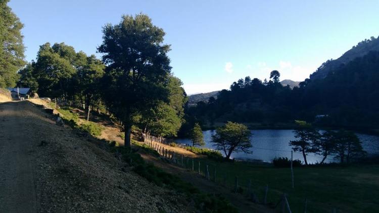 Fotografía 4 de Camping y Cabaña Laguna Tres Pinos en Lonquimay, Araucania