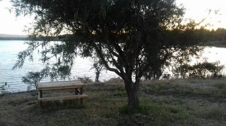 Fotografía 4 de Camping KallfÃ¼ kura en Cañete, Bio Bio