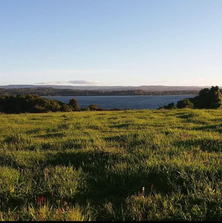 Fotografía 10 de Camping KallfÃ¼ kura en Cañete, Bio Bio